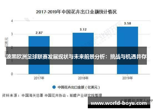 波黑欧洲足球联赛发展现状与未来前景分析：挑战与机遇并存