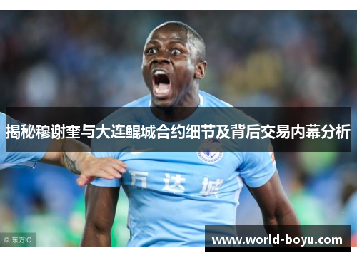 揭秘穆谢奎与大连鲲城合约细节及背后交易内幕分析