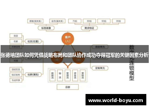 张德培团队如何凭借战略布局和团队协作成功夺得冠军的关键因素分析