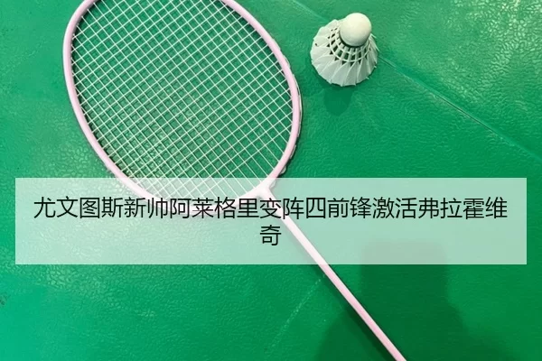 you-wen-tu-si-xin-shuai-a-lai-ge-li-bian-zhen-si-qian-feng-ji-huo-fu-la-huo-wei-qi-2-619.jpg