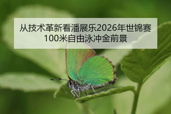 cong-ji-shu-ge-xin-kan-pan-zhan-le-nian-shi-jin-sai-mi-zi-you-yong-chong-jin-qian-jing-2-269.jpg